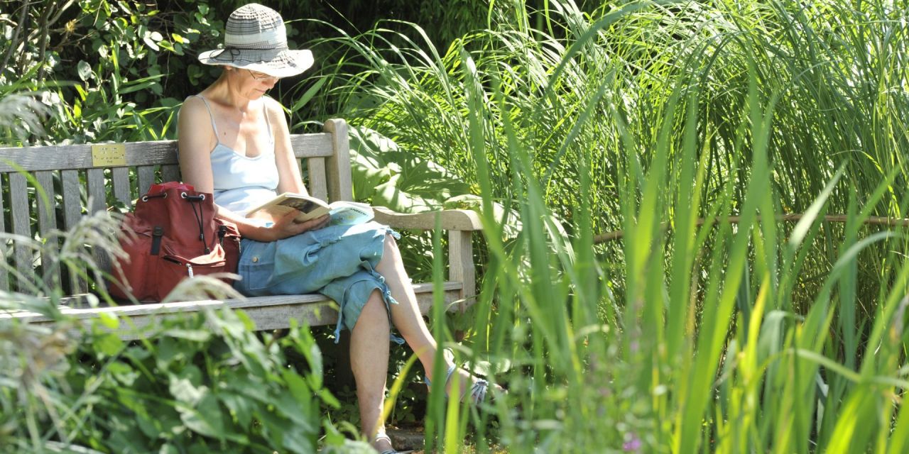 Een vrouw leest een tijdschrift tussen het groen op een tuinbank, warme zomerdag in Arboretum Kalmthout.