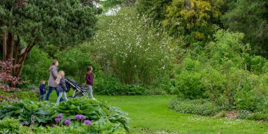 Moeder met drie kinderen en buggy, wandelend over het gazon langs groene lenteborders in Arboretum Kalmthout