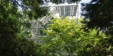 Doorkijk tussen bomen, struiken en groene borders naar een hoge stelling met uitkijkplatformen op de achtergrond, in Arboretum Kalmthout.